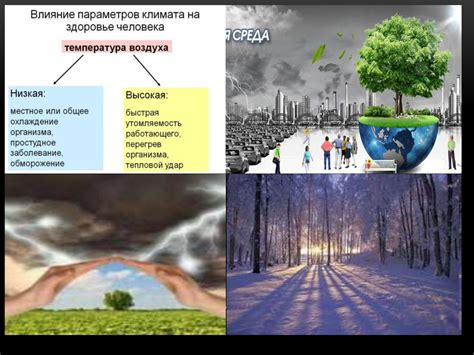 Организм и погода: влияние на здоровье и приспособление