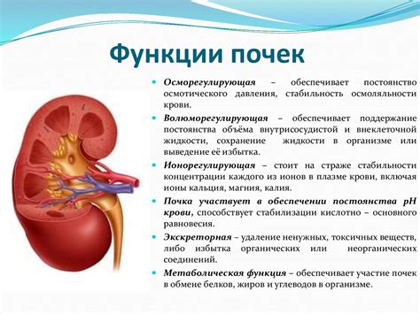 Ослабление функции почек