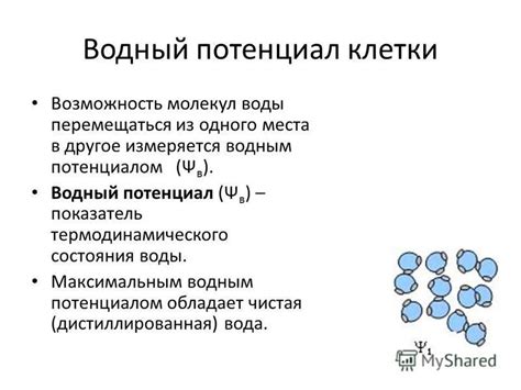 Осмотический потенциал клубней и воды