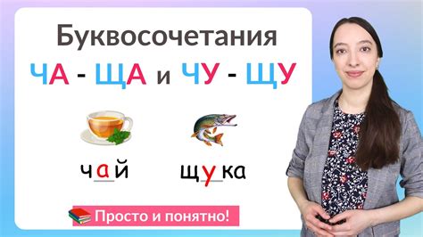 Основные правила написания слов на "-ча" и "-ща"