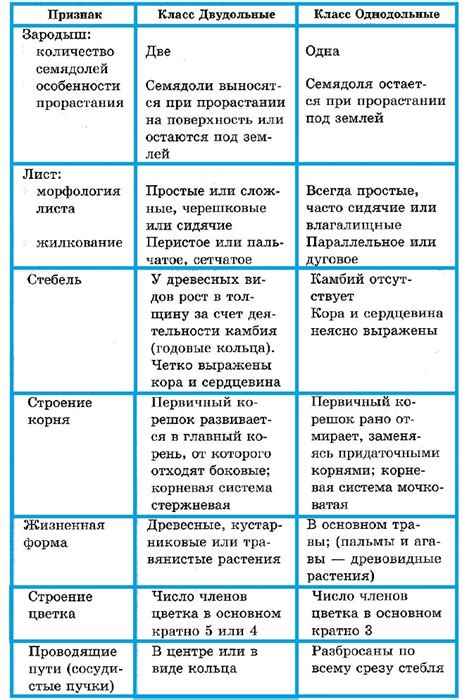 Основные различия