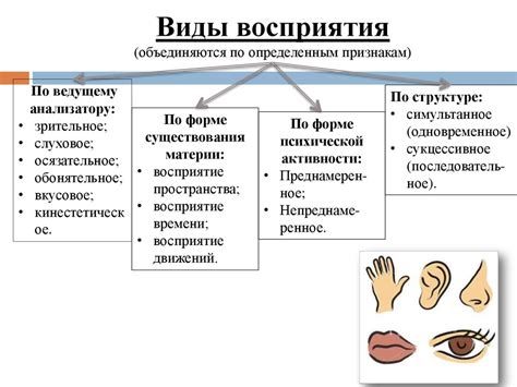 Особенности восприятия: