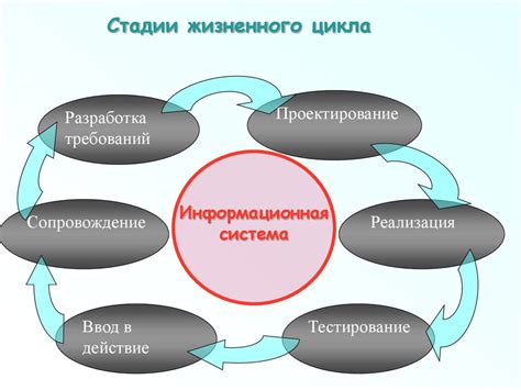 Особенности жизненного цикла