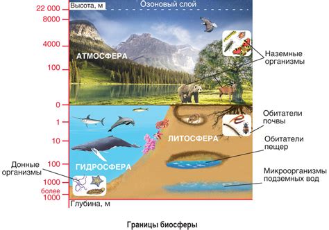 Особенности наблюдения с Земли