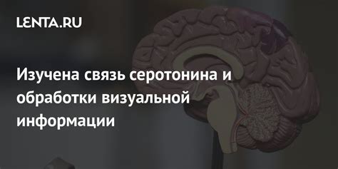 Особенности обработки визуальной информации