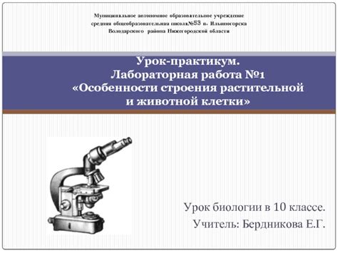 Особенности преподавания биологии в 10 классе