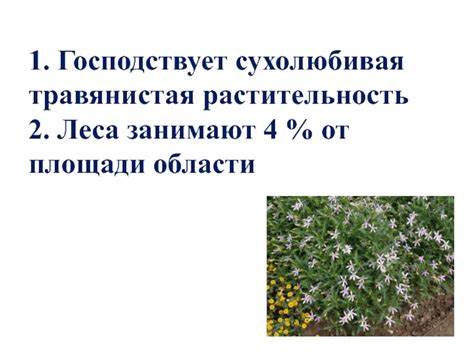 Особенности растительного покрова Судака