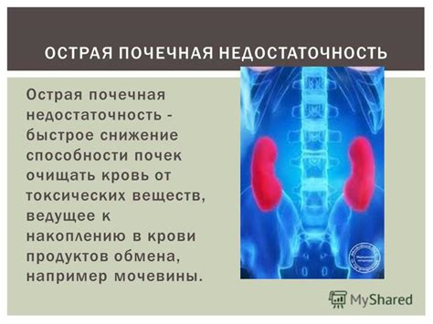 Острая недостаточность обмена веществ после введения белка