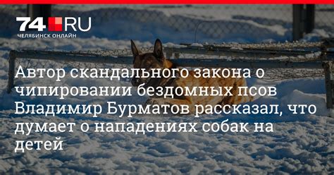 Ответы на популярные вопросы о скулеже у собак