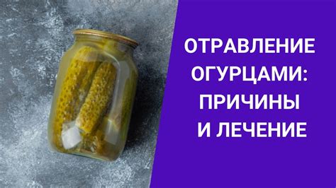 Отравление кроликов: роль прекорма огурцами