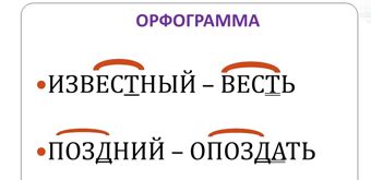 Отражение в правилах русского языка