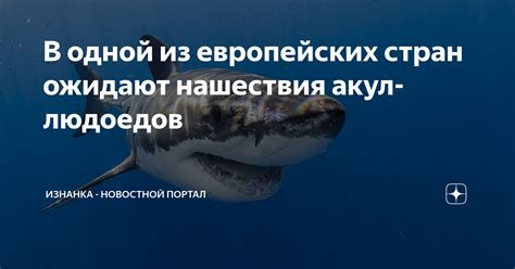 Отсутствие акул людоедов в черноморской фауне