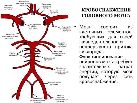 Отсутствие достаточного кровоснабжения головного мозга