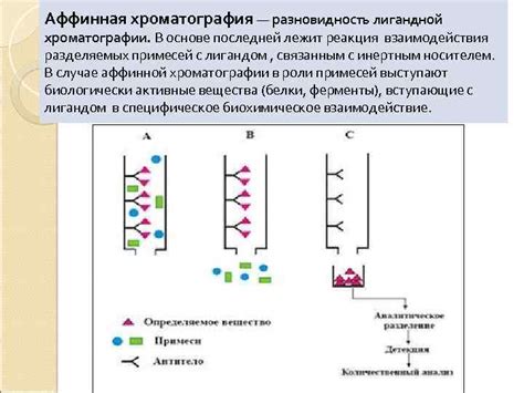 Отсутствие соединений с подходящей лигандной средой