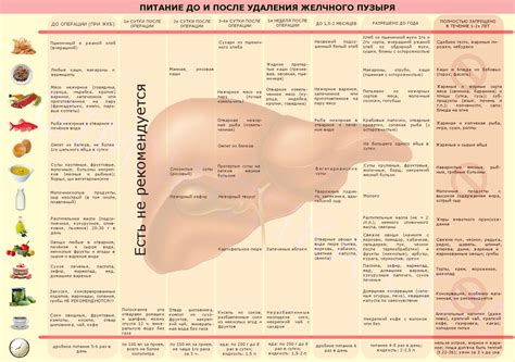 Отсутствие фильтрации и запах после удаления желчного пузыря