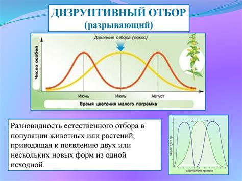 Отчаяние - движущая сила