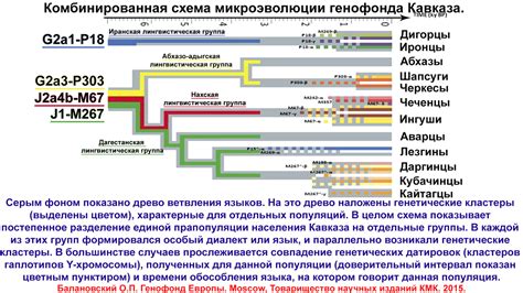 Оценка генетического наследия