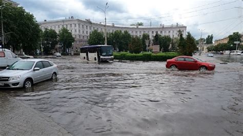 Очищение водоемов: дорогое решение проблемы