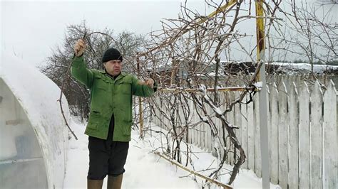 Ошибки при посадке и укоренении