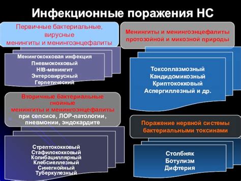 Первичные формы нервной системы