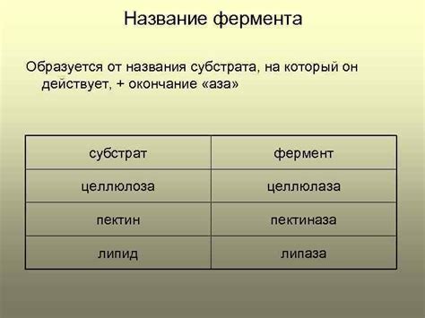 Первоначальные наименования от названия субстрата