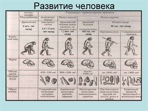 Первые записи человечества