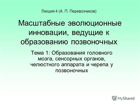 Перегрузка сенсорных органов