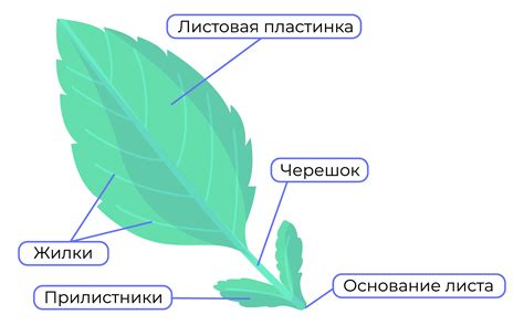 Перенапряжение растения