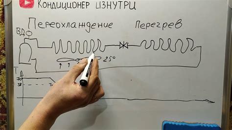 Переохлаждение или перегрев растения