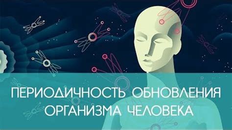 Периодичность обновления дредов