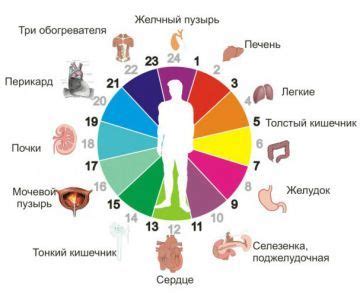 Периоды активности