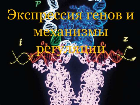 Перспективы исследования полицистронной организации генов