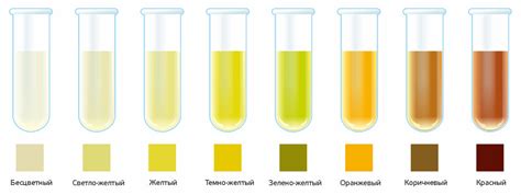 Питание и цвет мочи