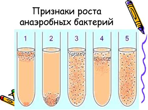 Питательные факторы