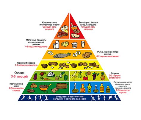 Пищевой пирамид: правильный баланс продуктов