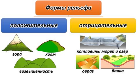 Площадь клюва и его рельеф