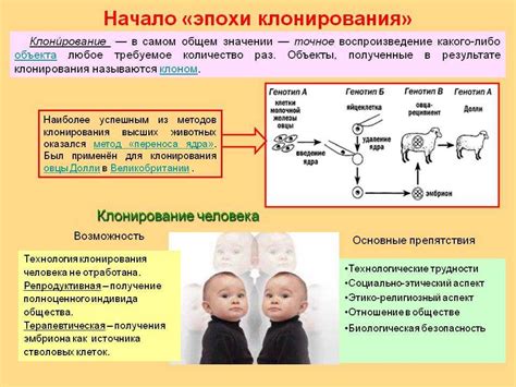 Плюсы и минусы клонирования человека