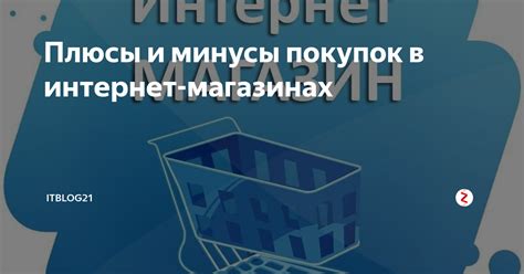 Плюсы и минусы покупки дроби в интернет-магазине