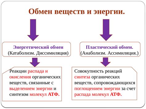 Побег и обмен веществ