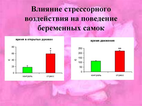 Поведение беременных самок