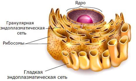 Поврежденная сеть или аппарат