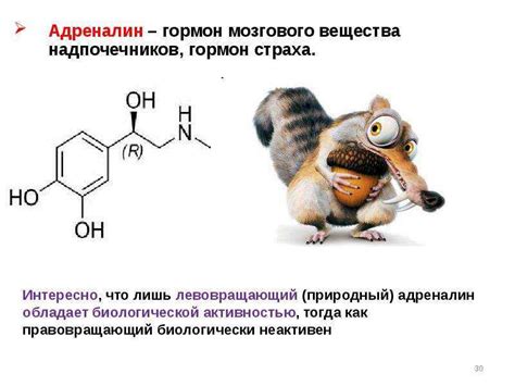 Повышение продукции гормона адреналина