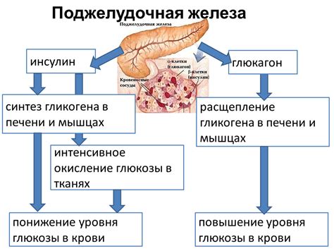 Повышение уровня гликогена