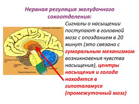 Повышение чувства насыщения