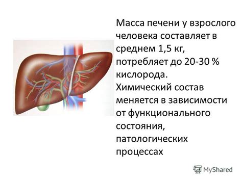 Повышенная нагрузка на печень