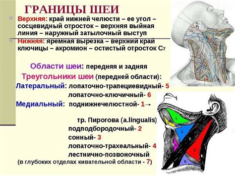 Повышенное напряжение шейных мышц