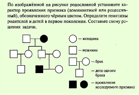 Повышенный спрос на составление родословной