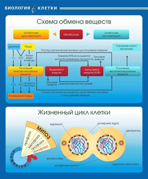 Подавление обычного обмена веществ