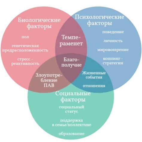 Поддержка социального окружения