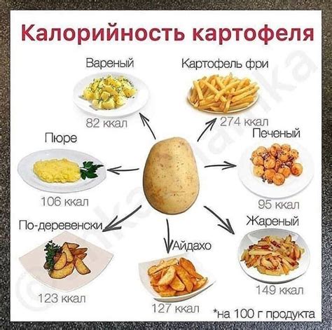 Подробный гид по калориям продуктов: узнайте, сколько калорий в 1 грамме